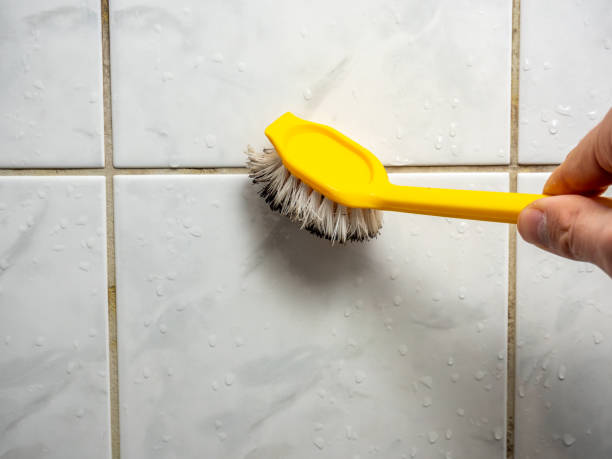 Best Affordable Mold Removal  in South Zanesville, OH