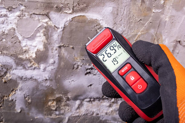 Best Mold Removal Near Me  in South Zanesville, OH
